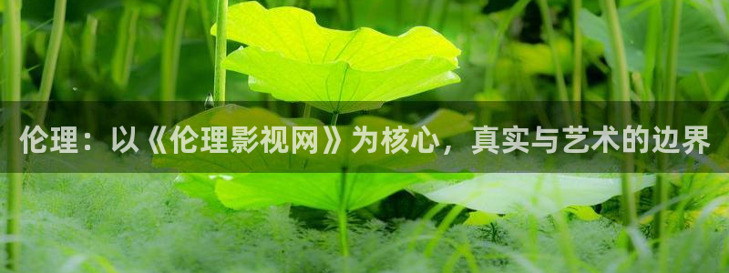 麻豆影片免费观看：伦理：以《伦理影视网》为核心，真实与艺术的边界