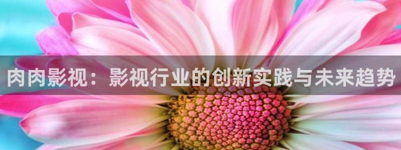 最新麻豆电影在线观看：肉肉影视：影视行业的创新实践与未来趋势