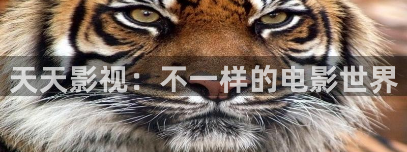 麻豆成人免费电影