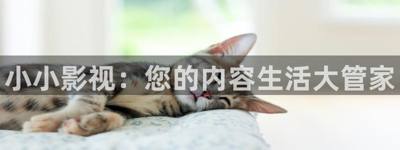 麻豆国产视频免费观看：小小影视：您的内容生活大管家