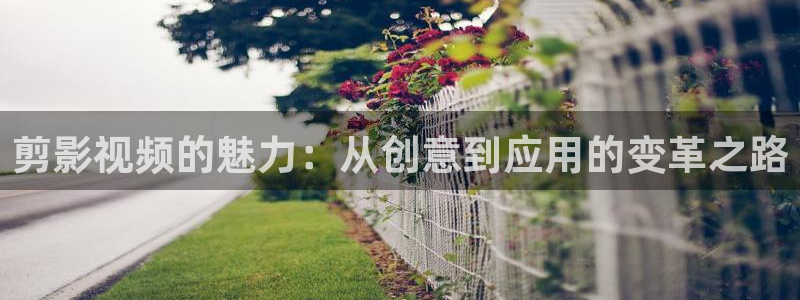 免费看麻豆电影：剪影视频的魅力：从创意到应用的变革之路