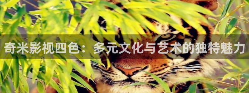 黄色麻豆片：奇米影视四色：多元文化与艺术的独特魅力