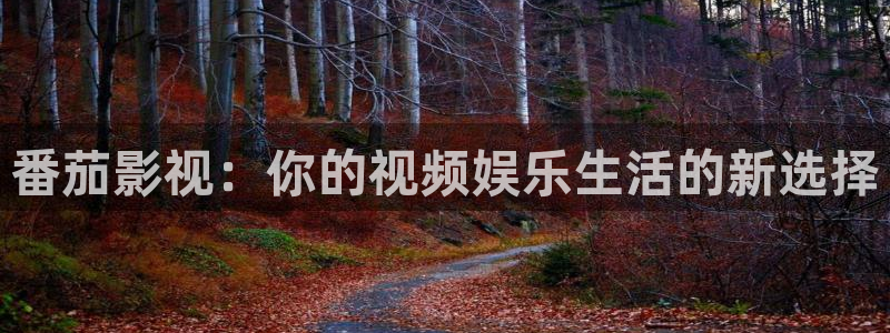 麻豆91高清