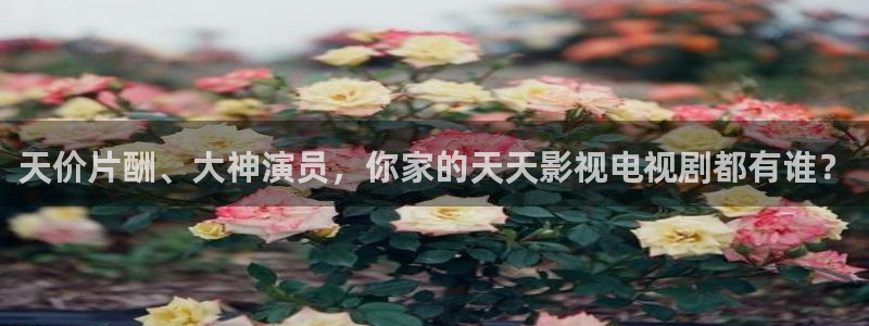 麻豆电影网在线观看：天价片酬、大神演员，你家的天天影视电视剧都有谁？