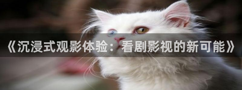 麻豆aⅴ片