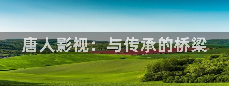 国产在线麻豆精品对白电影