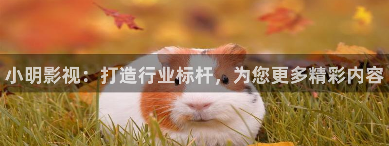 麻豆国产电影播放