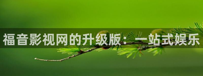 麻豆影视网站：福音影视网的升级版：一站式娱乐