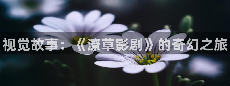 麻豆叼嘿视频